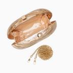 Zariya Acrylic Clutch Bag